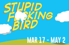 Stupid Fucking Bird