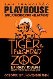 Bengal Tiger at the Baghdad Zoo