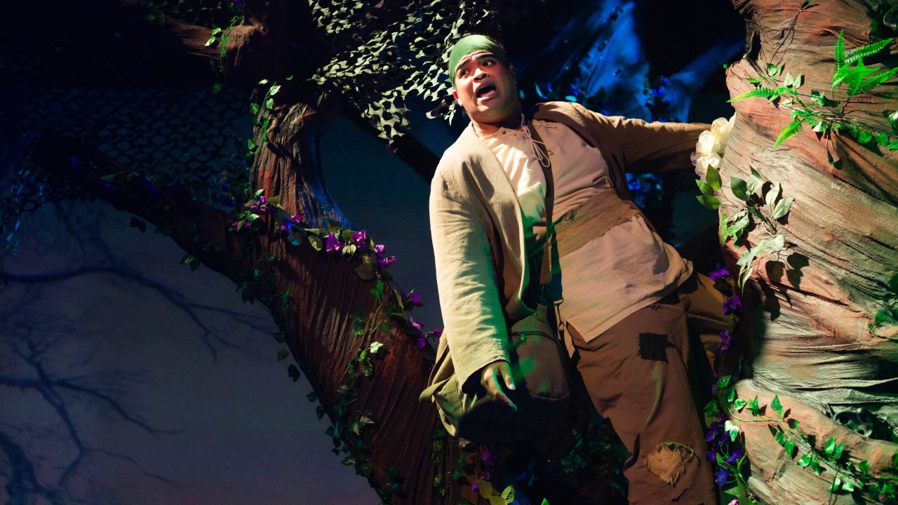 Jack (William I. Schmidt) climbs his beanstalk in San Francisco Playhouse's "Into the Woods," performing November 20, 2025 - January 17, 2026. Jack (William I. Schmidt) climbs his beanstalk in San Francisco Playhouse's "Into the Woods," performing November 20, 2025 - January 17, 2026.